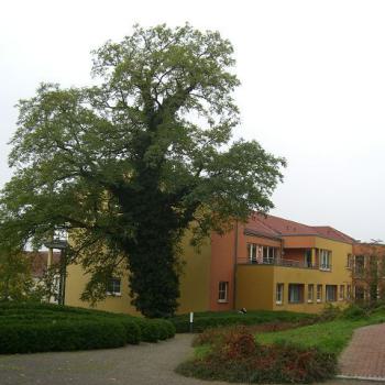 Altenpflegeheim Müncheberg